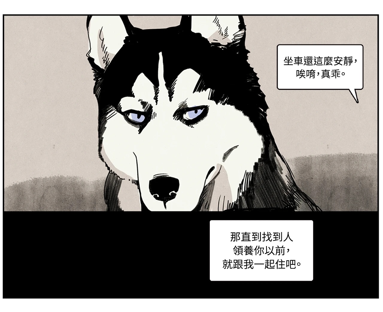 领养前：好耶有狗了🐶 领养后：❓