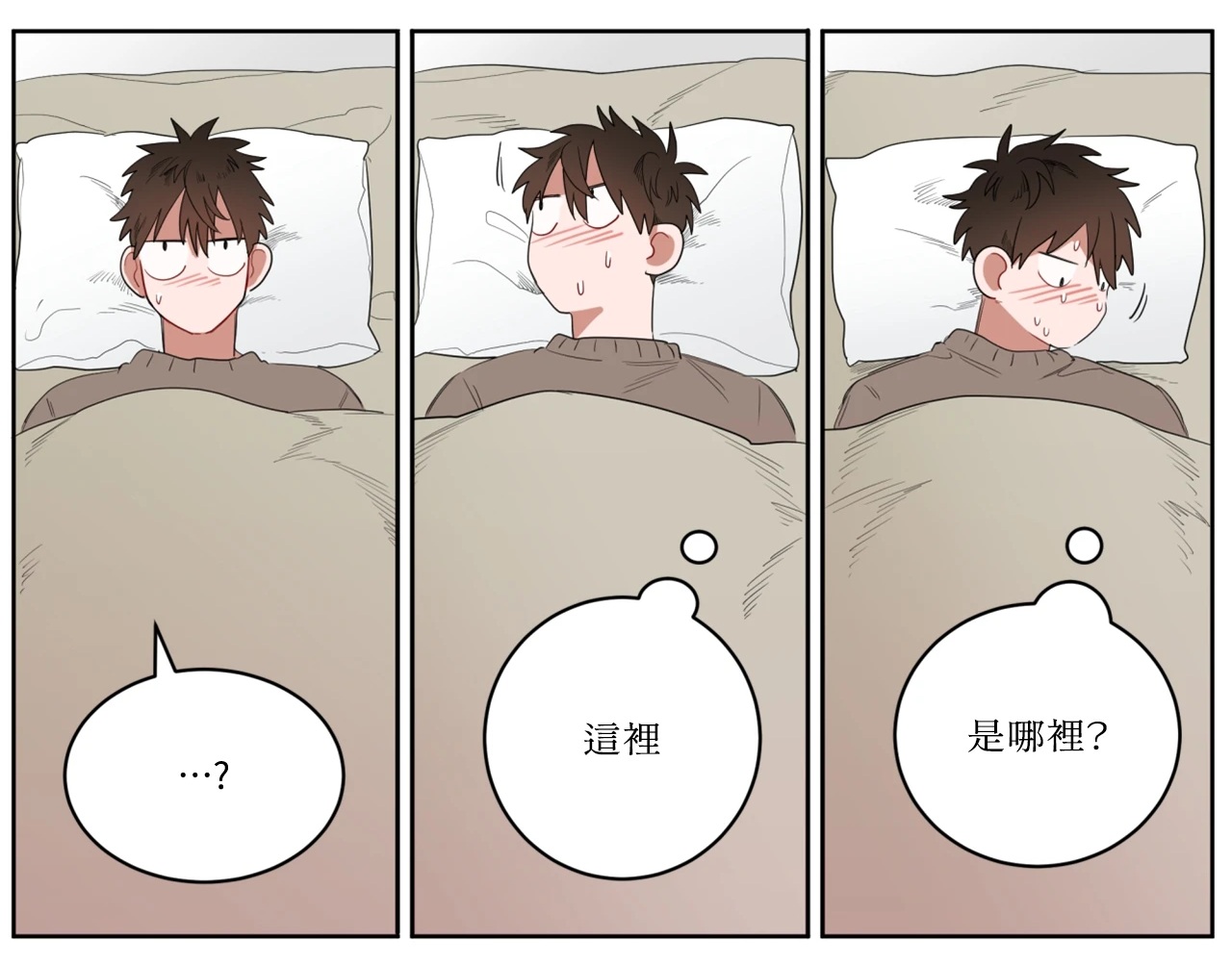 不是😂你把照顾你的人认成熊啊